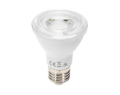 LED bulb PAR38 E27 socket