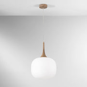 Lampadario JAIPUR a Sospensione E27 30cm in Vetro