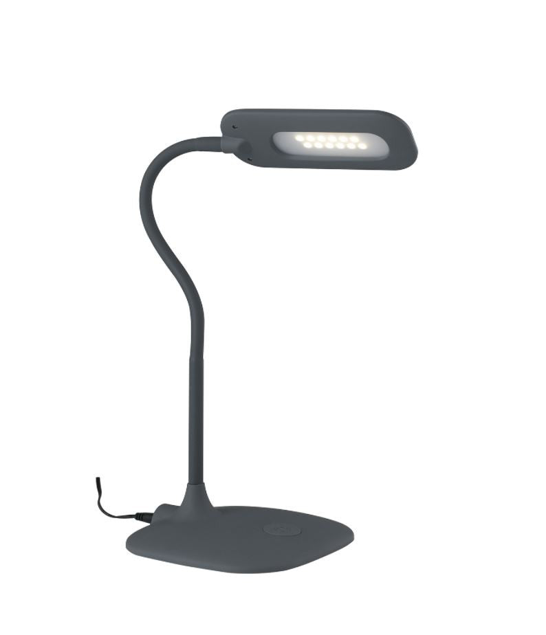DARWIN Desk Lamp 53.5cm 4.8W Adjustable Light Metal