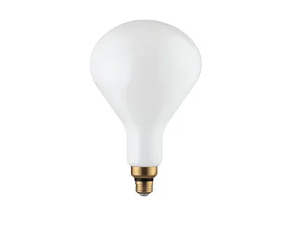 E27 19W Globe LED Bulb