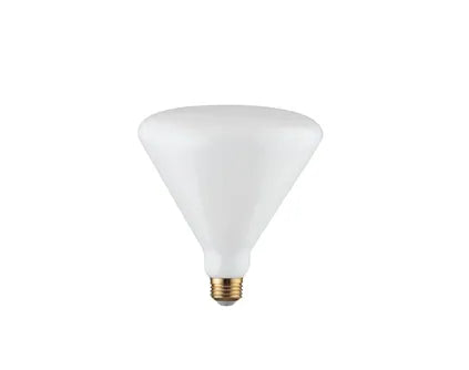 E27 19W Globe LED Bulb